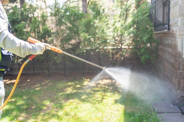 Best Mosquito Control  in New Haven, WV